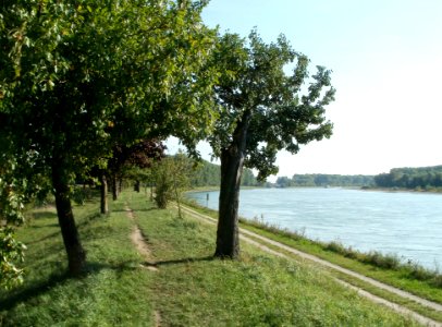 20110915Altlussheim33