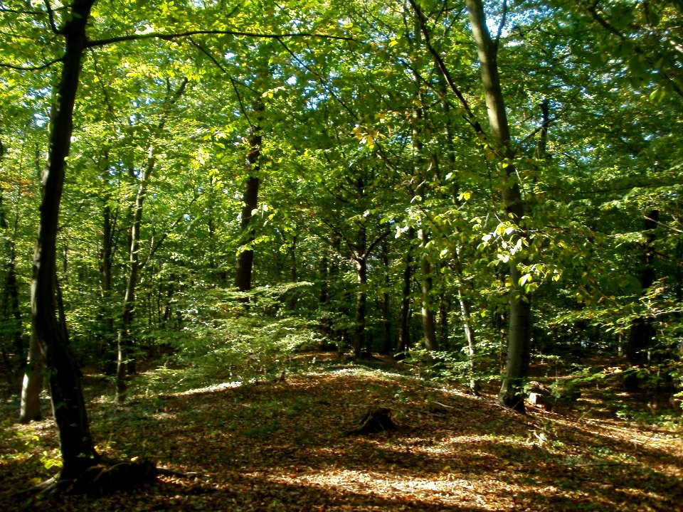 20111004Wagbachkastell5