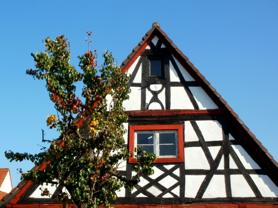 20111004Wagbachstr48_Wiesental2