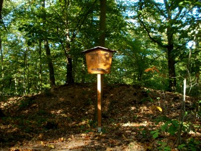 20111004Wagbachkastell9
