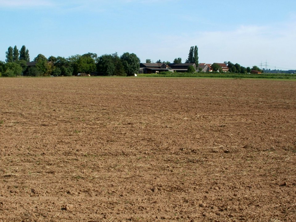 20110802Kurpfalzhof01