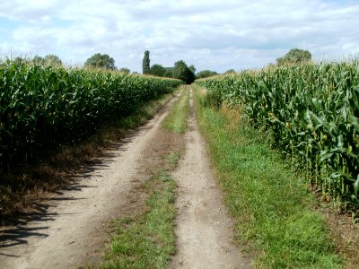 20110714Bach_Leopoldswiesen01