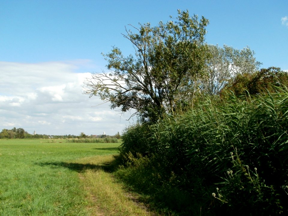20110714Bach_Leopoldswiesen25