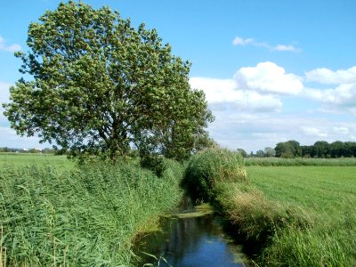 20110714Bach_Leopoldswiesen28