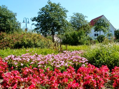 20110802Schwetzinger_Str_Hockenheim1