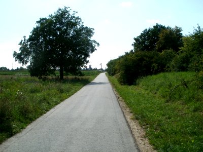 20110802Schlossachse_Schwetzingen1