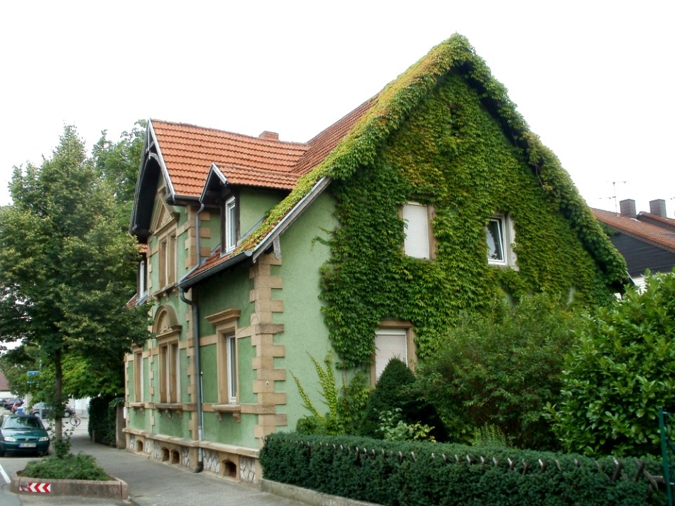 20110729Waldstr29_Sandhausen1