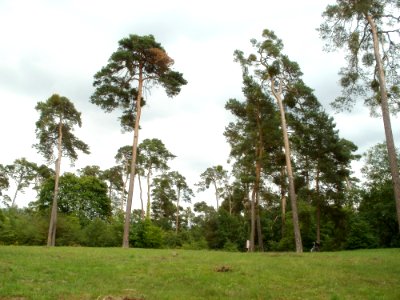 20110730Feldherrenhuegel_Oftersheim4