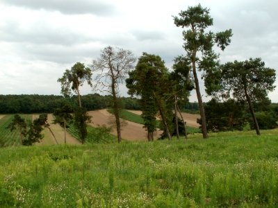 20110730Friedenshoehe_Oftersheim1