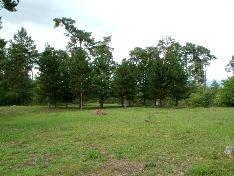 20110730Feldherrenhuegel_Oftersheim3