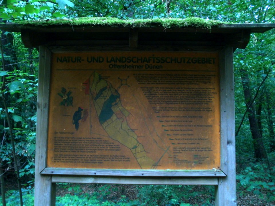 20110730Feldherrenhuegel_Oftersheim5