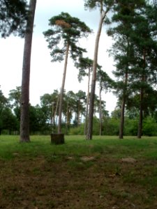 20110730Feldherrenhuegel_Oftersheim1