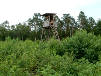 20110730Schwetzinger_Hart3
