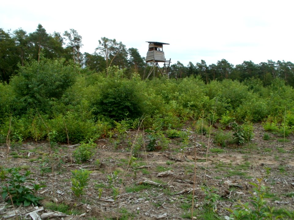 20110730Schwetzinger_Hart2