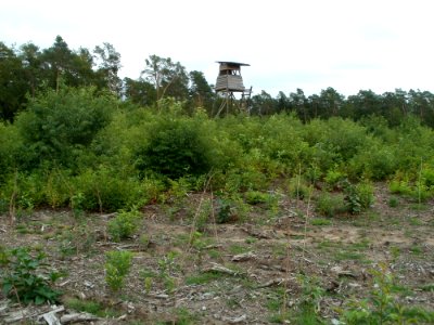 20110730Schwetzinger_Hart2
