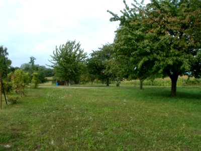 20110812Streuobstwiese_Oberhausen1