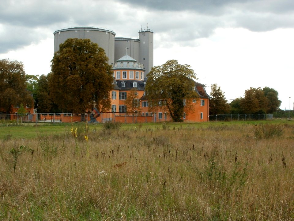 20110812Waghaeusel11