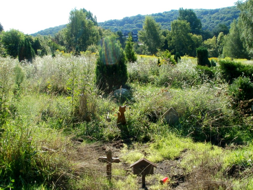 20110807Tierfriedhof_Saarbruecken1