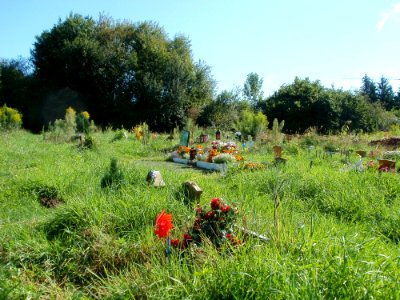 20110807Tierfriedhof_Saarbruecken3