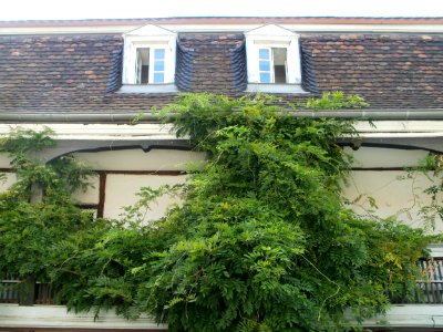 20110810Mainzer_Str_2-4_Saarbrucken1