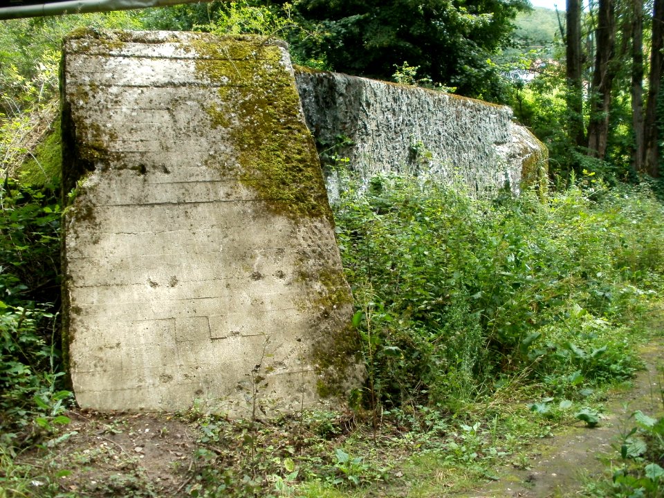 20110723Daarler_Wiesen04