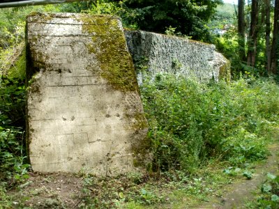 20110723Daarler_Wiesen04