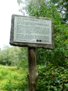 20110723Daarler_Wiesen11