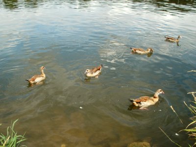 20110709Schengen07