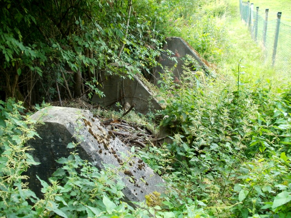 20110706Hoeckerlinie_Saarbruecken5