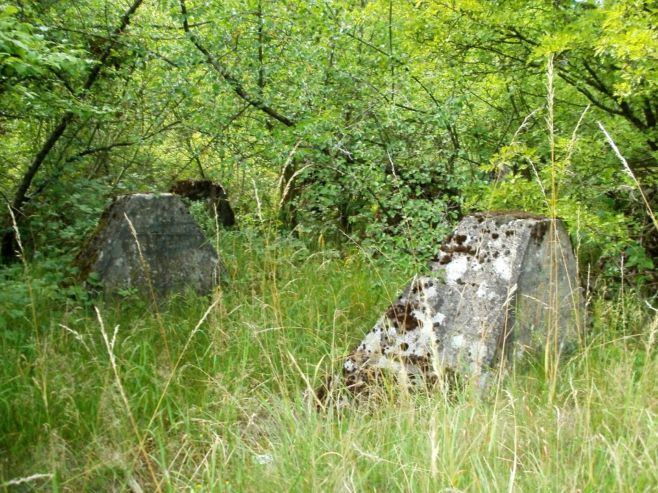 20110706Hoeckerlinie_Saarbruecken2