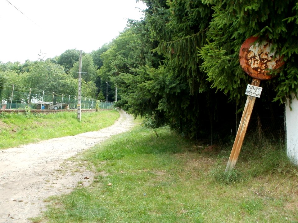20110706Spicherer_Berg
