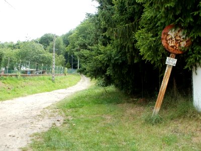 20110706Spicherer_Berg