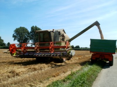 20110716Getreideernte_Hockenheim6