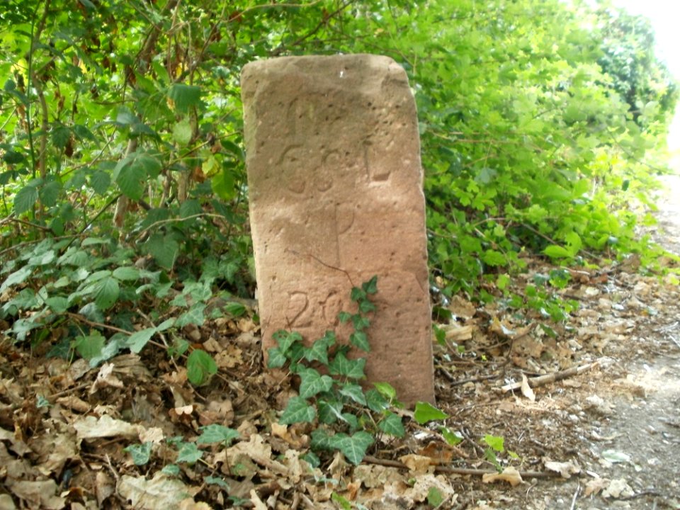 20110715Reilingen09