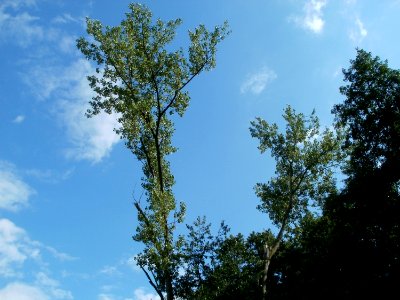 20110714Marlach