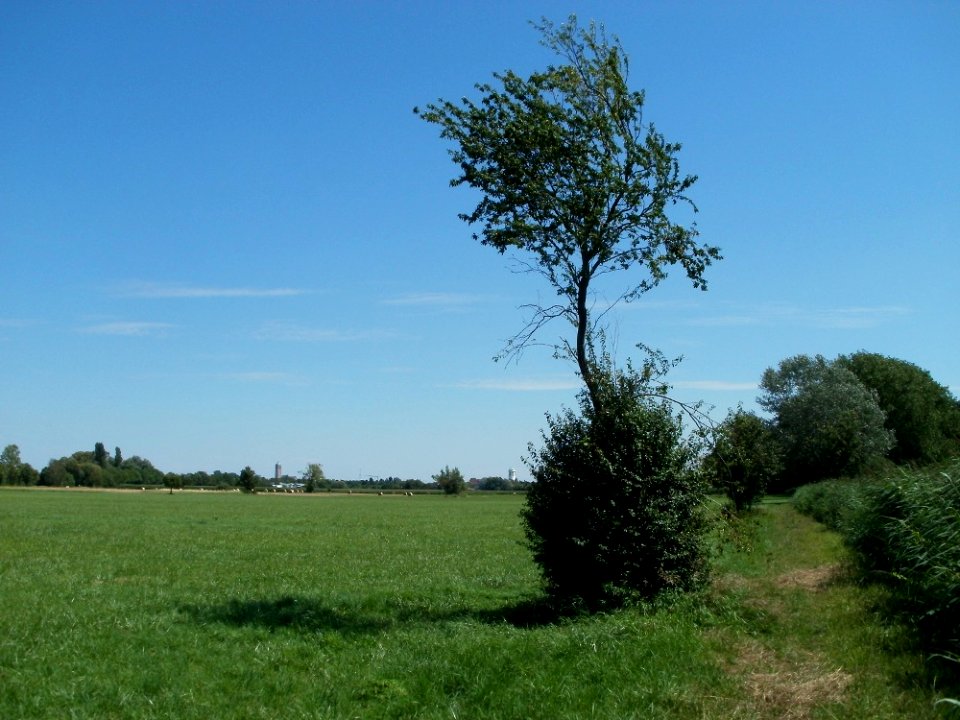 20110716Bach_Leopoldswiesen03