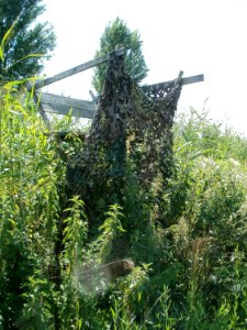 20110716Bach_Leopoldswiesen06