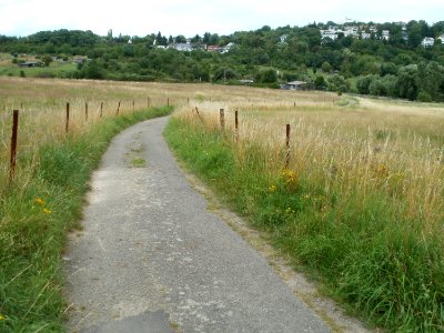 20110706Almet18