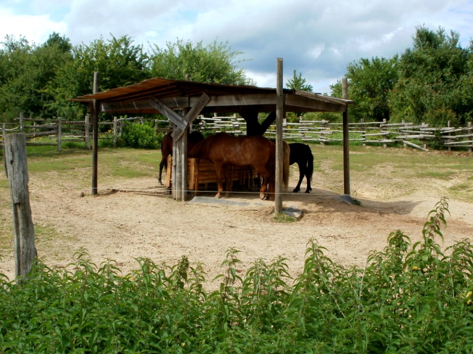 20110706Almet22
