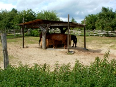 20110706Almet22