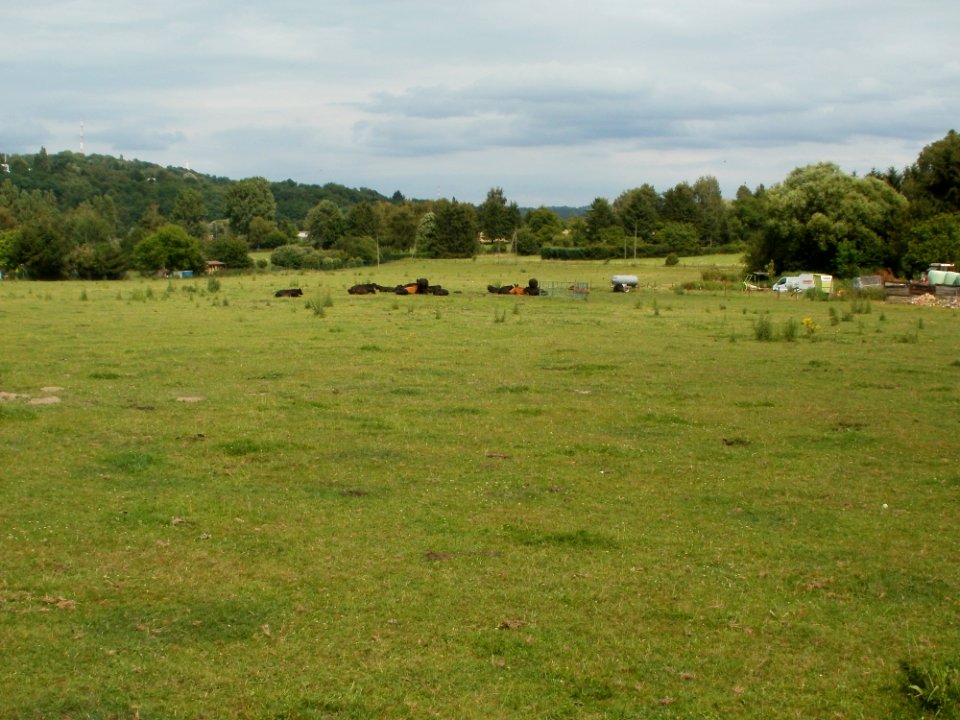 20110706Almet16