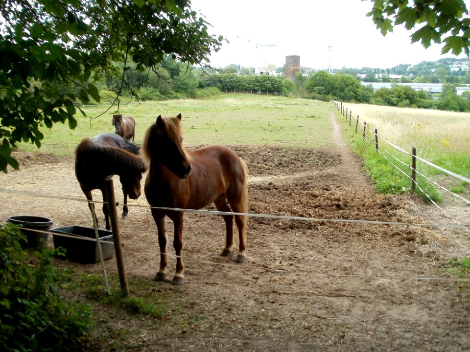 20110706Almet12