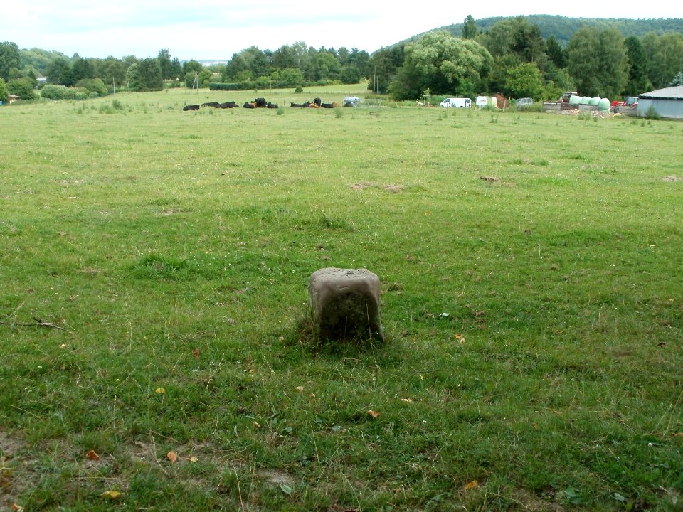 20110706Almet17