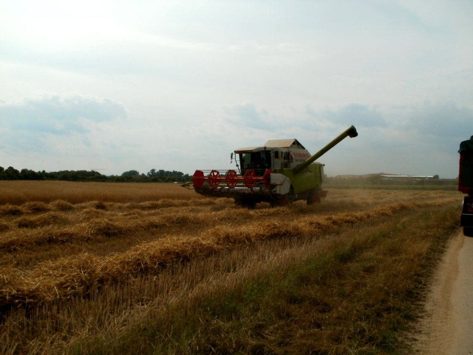 20110715Reilingen27