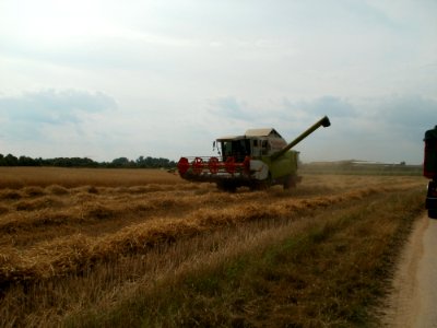 20110715Reilingen27