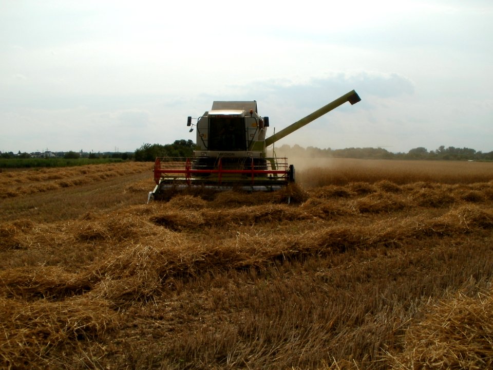 20110715Reilingen26