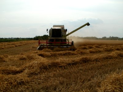 20110715Reilingen26