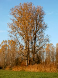 20111101Karl-Ludwig-See31