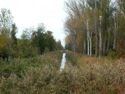 20111024Kanal_Philippsburg1