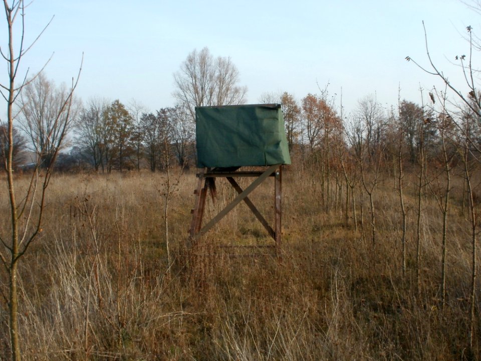 20111115Hochsitz_Hockenheim11